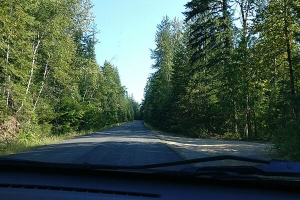 Inspiration Woods Trail