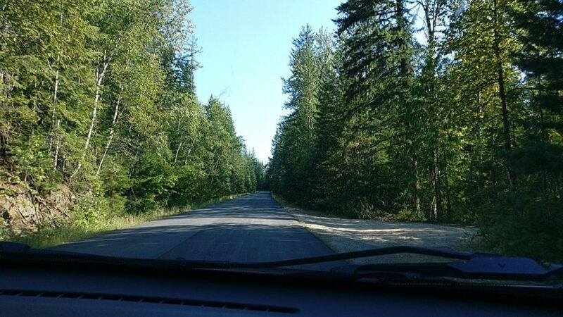 Inspiration Woods Trail